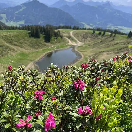 Lejlighed Am Dorfbrunnen In - Bauernhauscharme Im Allgaeu Wertach